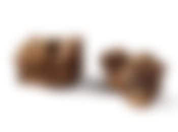 Chickens (preview)