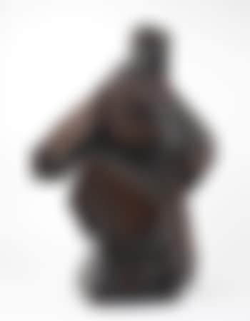 Taichi Series (preview)