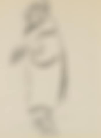 Woman In An Evening Gown (preview)