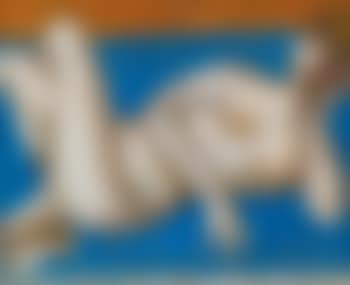 Nudo Disteso (preview)