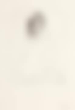 Femme nue se couronnant de fl eurs, pl. 2 (from Suite Vollard) (preview)
