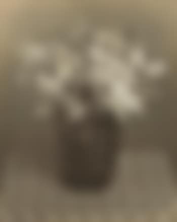 Still Life With Silk Flowers (preview)