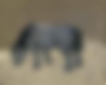 Welsh Pony (preview)