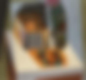 Natura Morta Con Arance (preview)