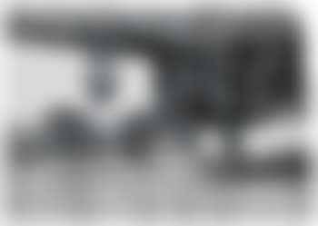 Royal Palm (Study) 1 (preview)