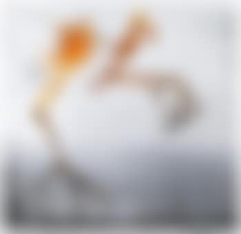 Untitled (preview)