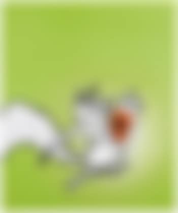 Secret Squirrel (preview)