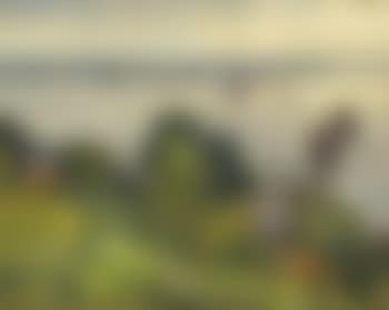 Elbansicht bei Blankenese (preview)
