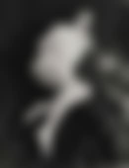 Untitled Film Still (# 34) (preview)