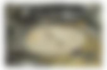 Paseillo negro (preview)