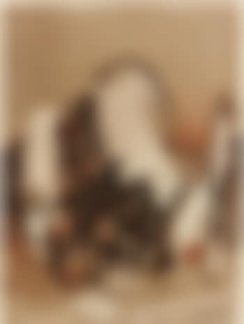 Composition (preview)