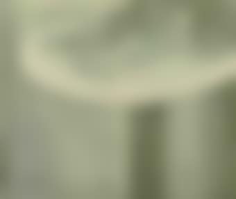 Thumb (preview)
