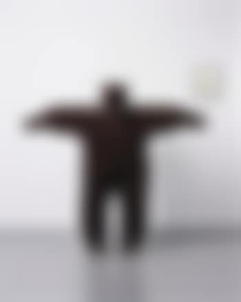 The Bear Suit Lady (preview)