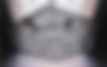Snow crystal roof (preview)