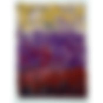 Storm. Winter branches (preview)