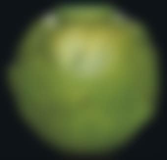 Formose vase, no 934 (preview)