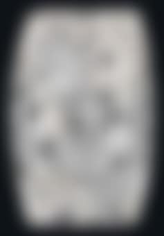 Boule de gui panel, no 2264 (preview)