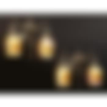 Pair Of Two-light Tulip Sconces (preview)
