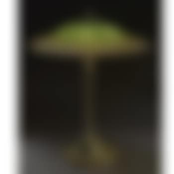 A Fine Lotus Table Lamp (preview)