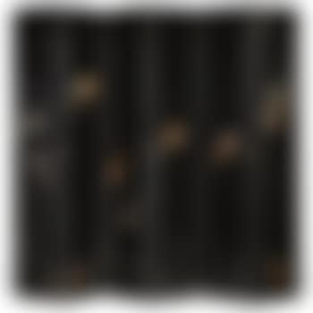 Six-panel Fish Screen (preview)