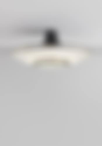 Ceiling light (preview)