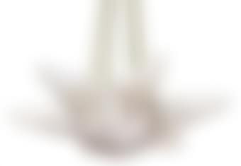 Noisetier: A Frosted Glass Chandelier (preview)