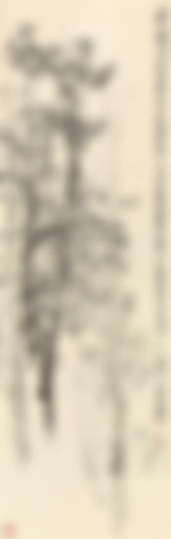 Plum Blossoms (preview)