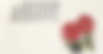 Chrysanthemums (preview)