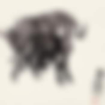 Two Donkeys (preview)