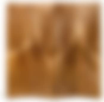 A Four-panel Screen (preview)