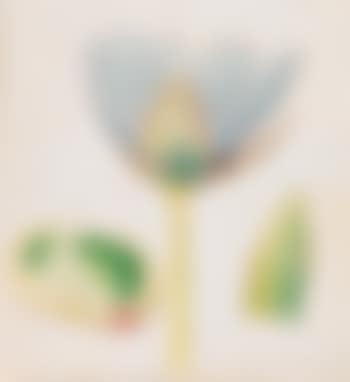 Lotus (preview)