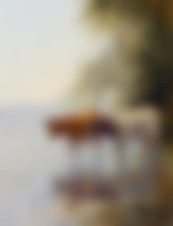 Cattle watering by the riverside (preview)