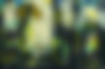 Les 3 haiqs (preview)