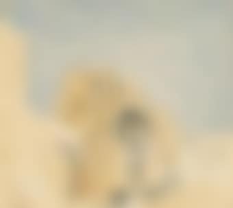 A Moroccan building (preview)