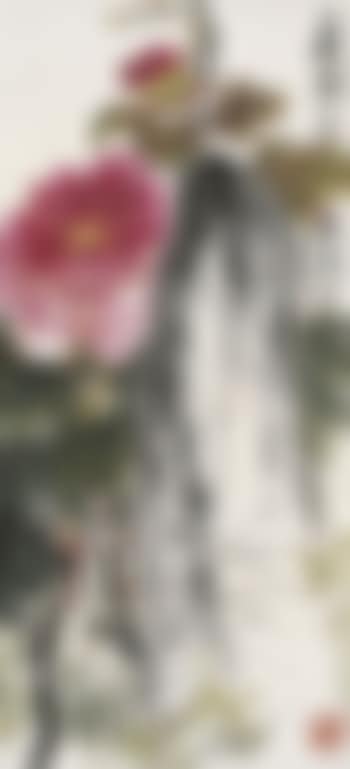 Peonies (preview)