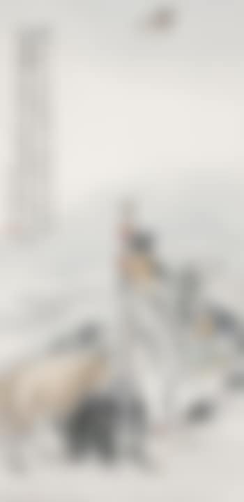 Shepherd Su Wu (preview)