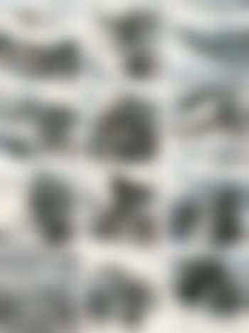 Landscape album (preview)
