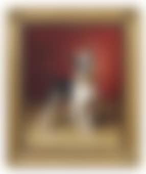 A French bulldog (preview)