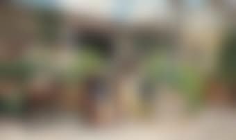 The welcome (preview)
