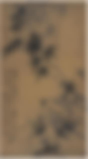 Orchids and bamboos (preview)