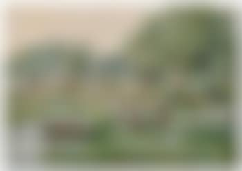 Children by a stream (preview)