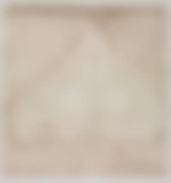White Club (preview)