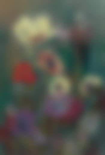 Anemones (preview)