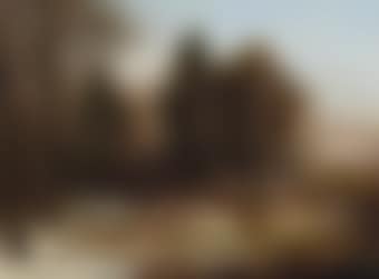 A wooded winter landscape with deers (preview)