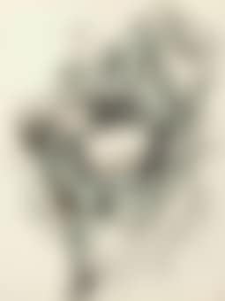 Woman: A Study in Texture (preview)