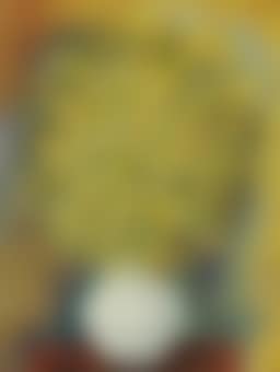 Mimosas (preview)