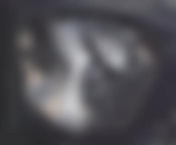 Self portrait (preview)