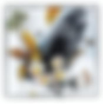 Primi bucaneve (preview)
