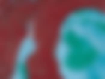 La liberazione (preview)