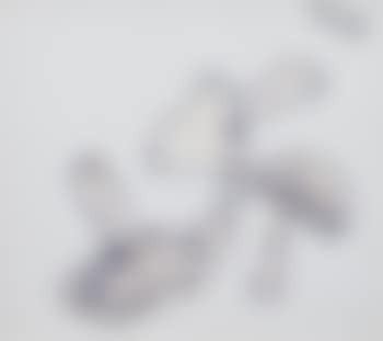 Senza titolo (preview)